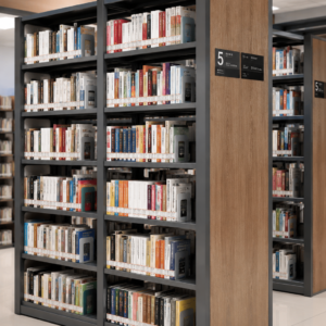 Double-Sided Steel Library Rack for School & Public Library Storage